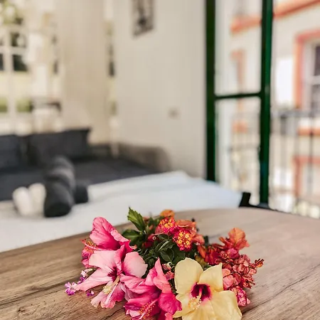 Harmony Free Garage Shared Roof Terrace Apartment
